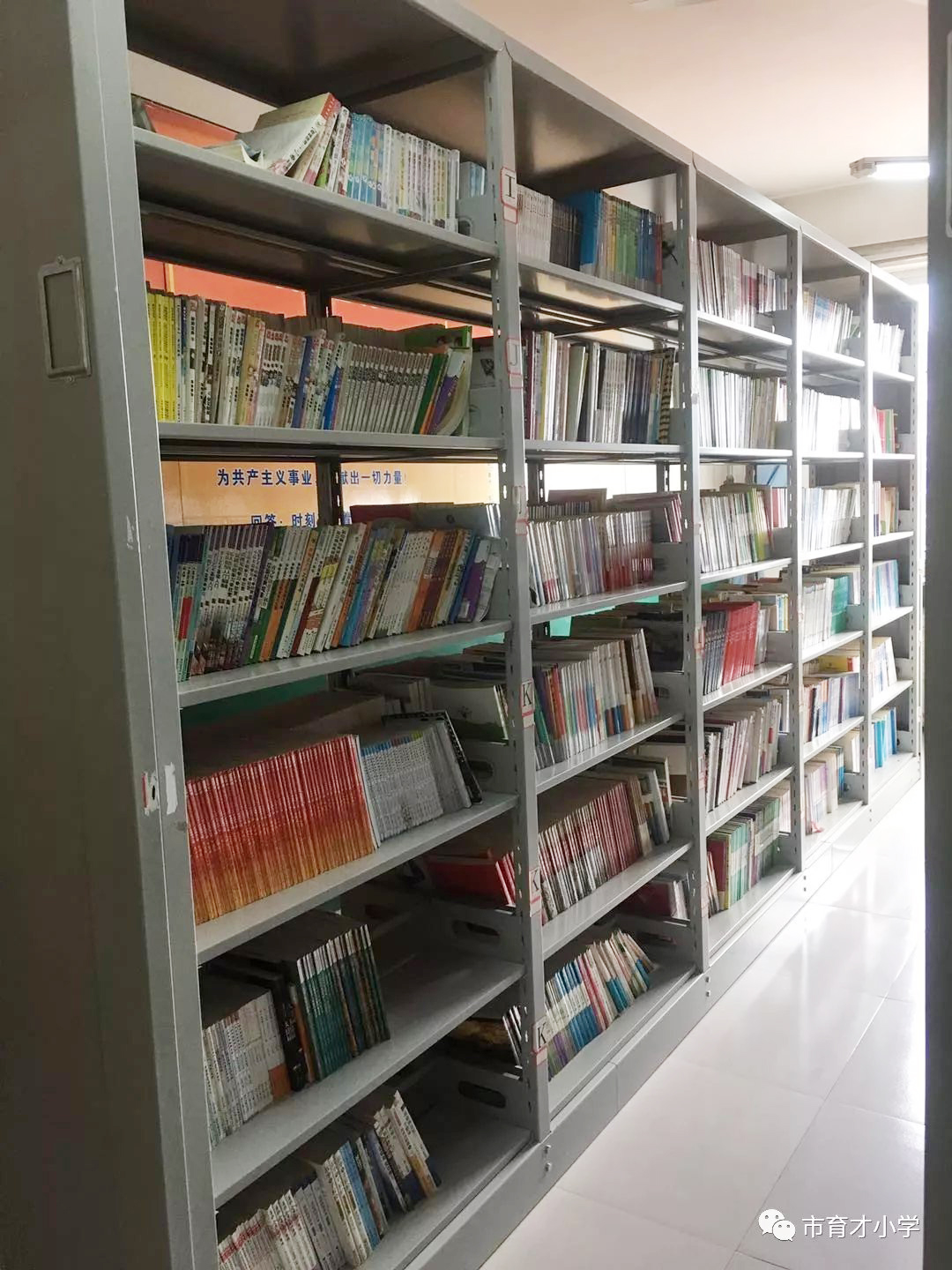 �ٲ���cbin99(�й�����)�ٷ���վ