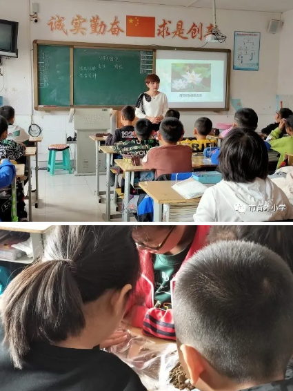 �ٲ���cbin99(�й�����)�ٷ���վ