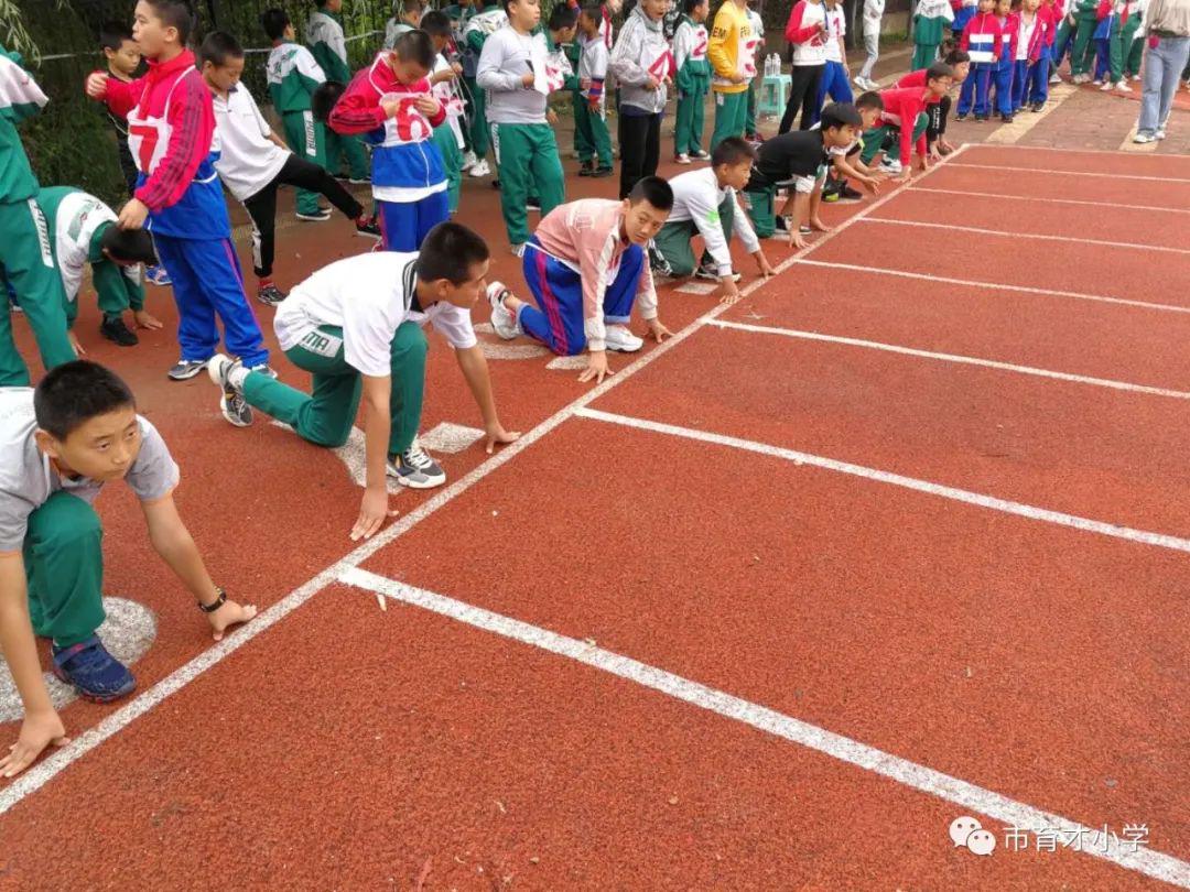 �ٲ���cbin99(�й�����)�ٷ���վ