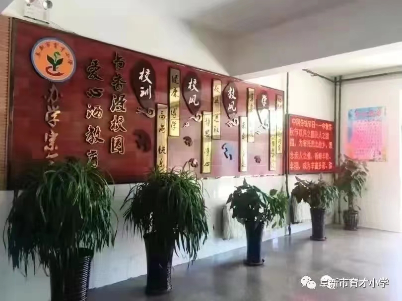 �ٲ���cbin99(�й�����)�ٷ���վ