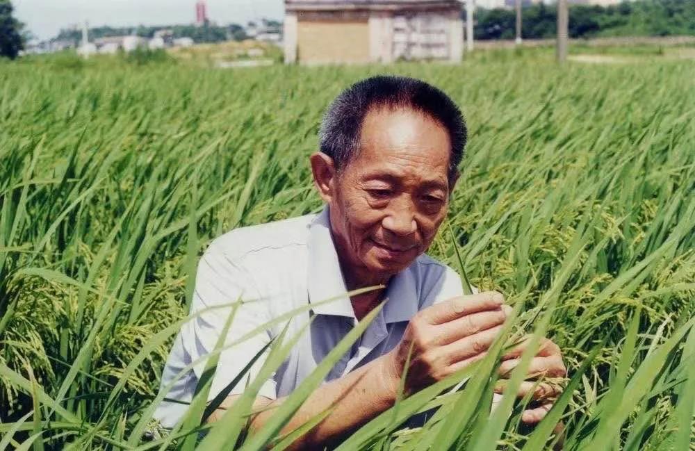 �ٲ���cbin99(�й�����)�ٷ���վ