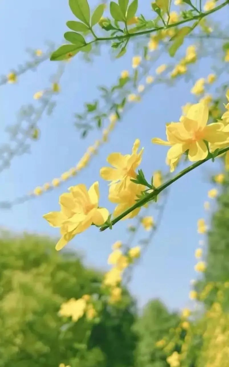 �ٲ���cbin99(�й�����)�ٷ���վ