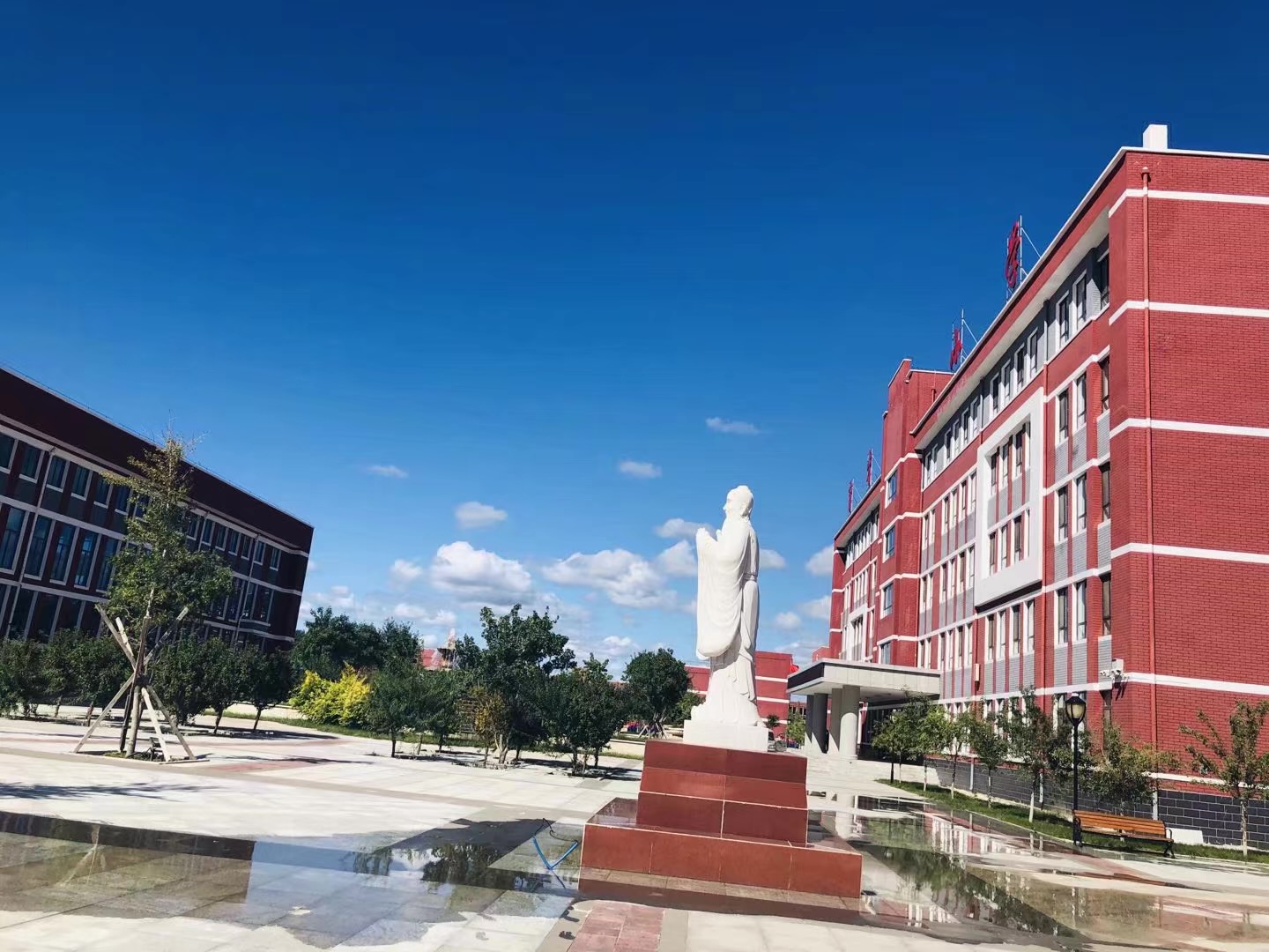 �ٲ���cbin99(�й�����)�ٷ���վ